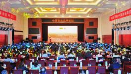 中建材在全球承接379條水泥生產(chǎn)線、市場(chǎng)占有率超過(guò)65%！