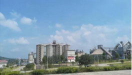 水泥行業(yè)的“華為”，一年凈賺300億！