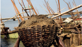 年耗500億噸，沙子快不夠人類使用了！