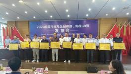 銅陵上峰:連續(xù)9年上榜“地方企業(yè)50強(qiáng)”！