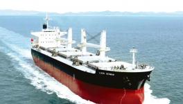 海螺下屬企業(yè)與船東簽單，總計(jì)3億元！