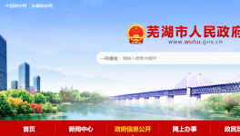 蕪湖海螺5.3MW光伏發(fā)電項目成功獲批！