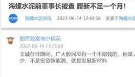 海螺蒸發(fā)1300億，逾700億元投資或存變數(shù)！