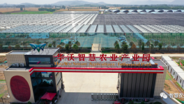 巧用水泥余熱，工業(yè)轉(zhuǎn)型反哺農(nóng)業(yè)！