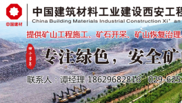 違規(guī)上馬“兩高”項目，相關責任人被處理?！