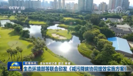 環(huán)保政策加嚴(yán)！氨逃逸不超標(biāo)這些企業(yè)做到了！