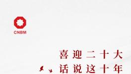 喜迎二十大:話說這十年，專業(yè)化整合深入推進 產(chǎn)業(yè)布局不斷優(yōu)化