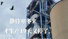 全停！最長200天！20個省水泥廠停產(chǎn)！