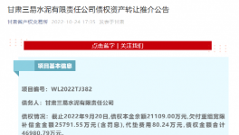 公告！多家水泥廠被賣(mài)！