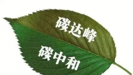 縫出匠心！這家環(huán)保企業(yè)脫穎而出！市場(chǎng)占有率名列前茅！