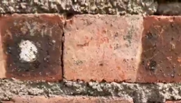 氣憤！“山寨”水泥！“假水泥”泛濫！