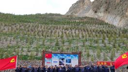 昌都高爭開展“黨旗飄，礦山綠”主題活動