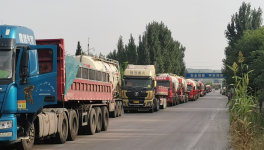 ?水泥廠又排隊(duì)了！原因竟是……