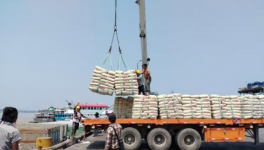 3000噸進(jìn)口水泥抵達(dá)，這一地區(qū)水泥降價(jià)！