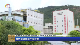 海螺水泥兩家工廠同一天都上電視啦！